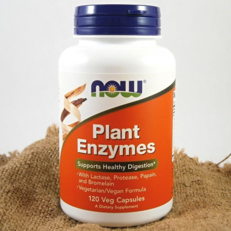 Bill Mỹ - Viên uống NOW Supplements Plant Enzymes with Lactase Protease Papain and Bromelain dùng cho người bất dung nạp