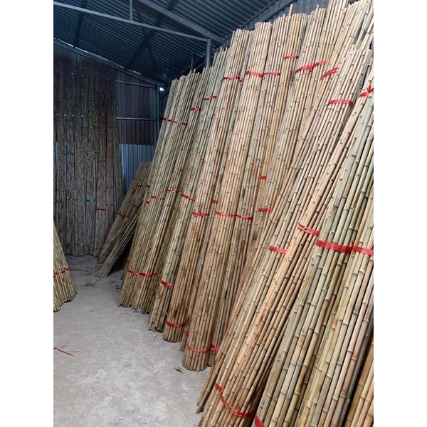 Tre trúc cán cờ, tre trúc banner quảng cáo, tre trúc cán tranh 2m 2.5m 3m