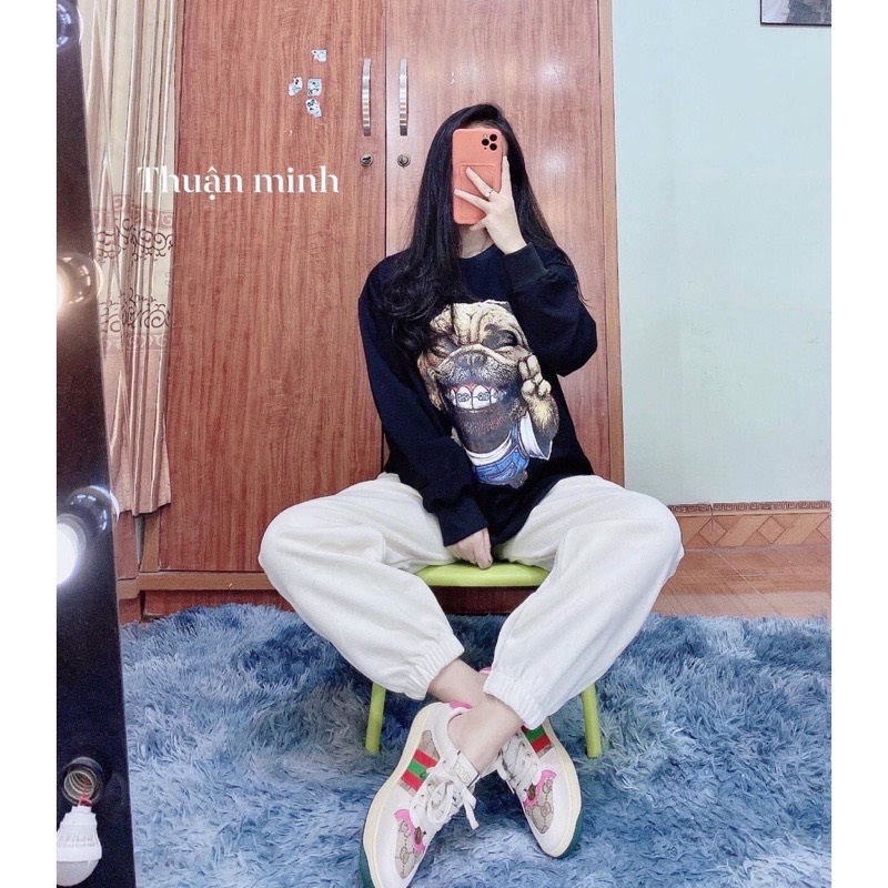 [ Hàng Chuẩn ] Áo Nỉ Sweater In Hình cute form rộng dài tay freesize 40kg_60kg hot hít đẹp xuất sắc ( kèm ảnh thật) | BigBuy360 - bigbuy360.vn