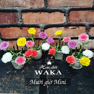 Hoa Đất Sét Mini- Mười Giờ