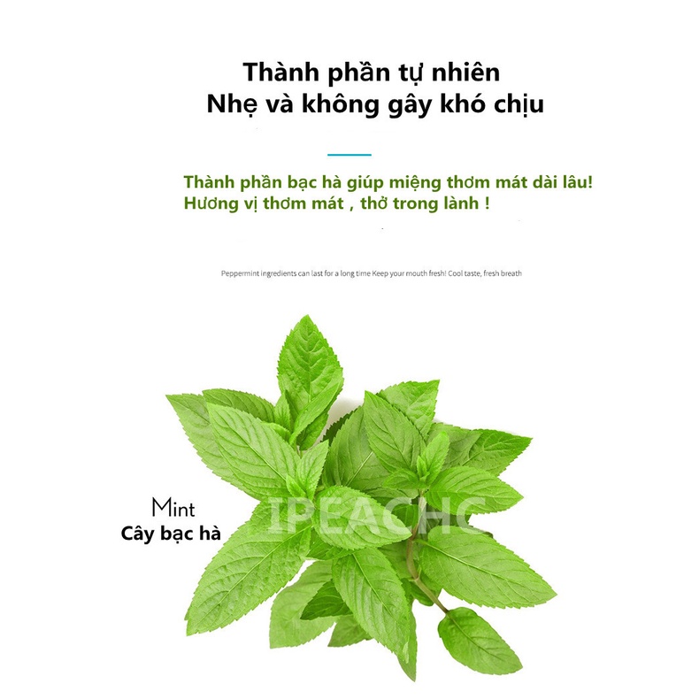 Chai xịt thơm miệng hương bạc hà 10ml tươi mát chăm sóc làm sạch hơi thở-xịt thơm miệng kháng khuẩn - tiện lợi