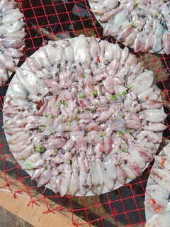 [Freeship 99k] Bánh Tráng Mực Nguyên Con
