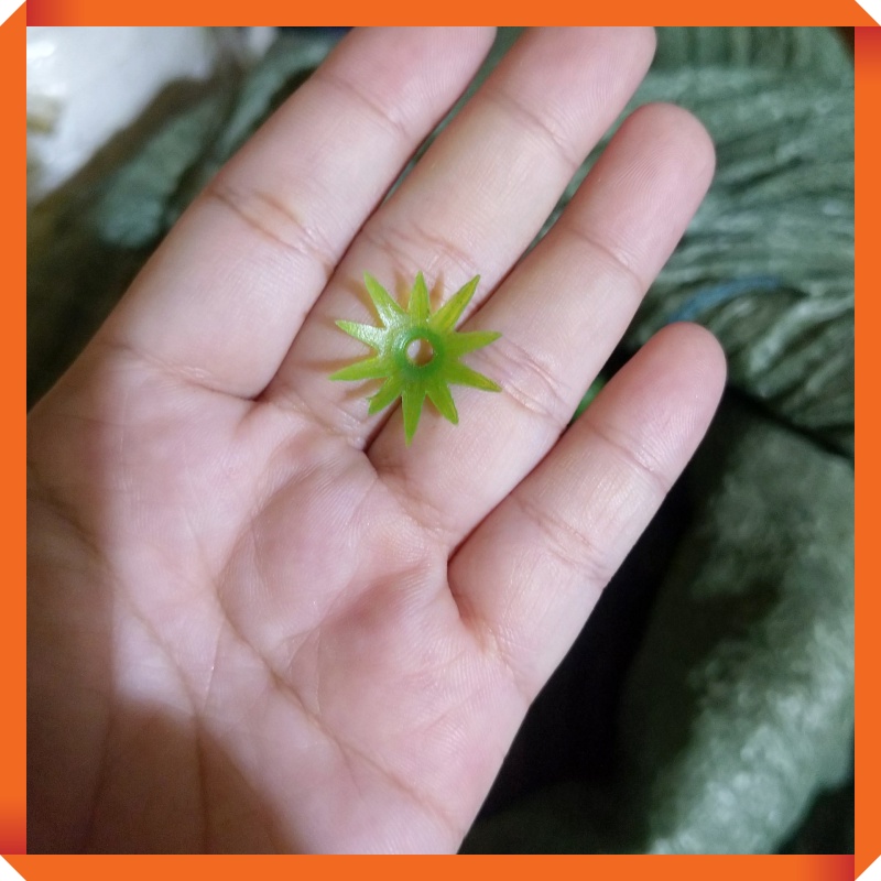 1 Lạng Đài Nhựa Dùng Cho Hoa Cúc, Sao Nhái...