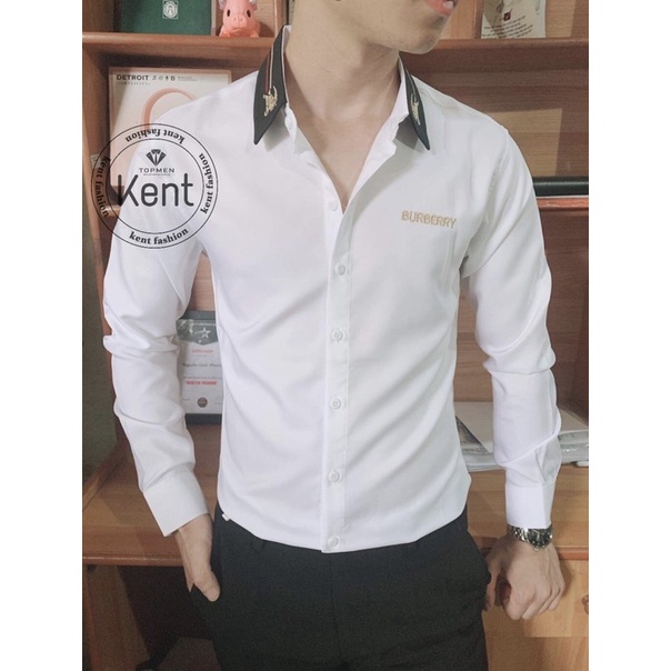 Áo sơ mi nam BBR CAO CẤP trơn, vải lụa không nhăn không xù