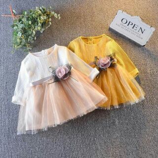 Combo 3bộ cotton giấy