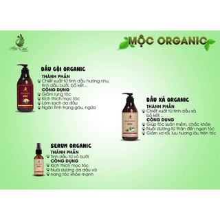 Bộ dầu gội + xả MỘC