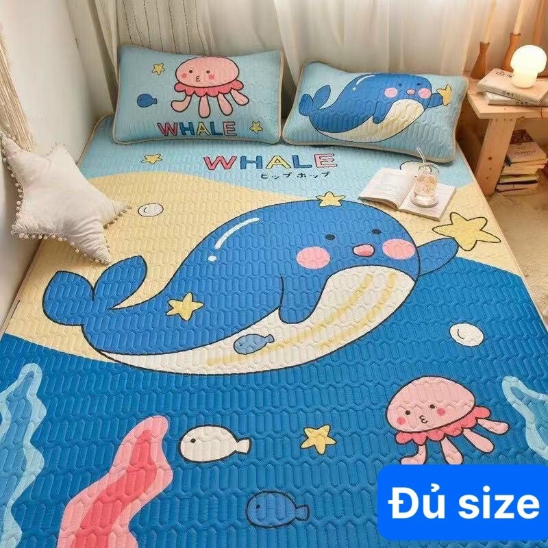 Xả hàng chiếu điều hoà cao su non 5d siêu hót đủ size(shop còn rát nhiêu mẫu)