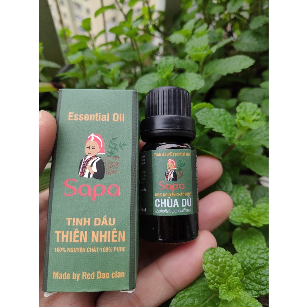 Tinh dầu chùa dù (Kinh giới rừng) 10ml