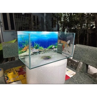 bể cá mini 40x20x20 tranh trang trí