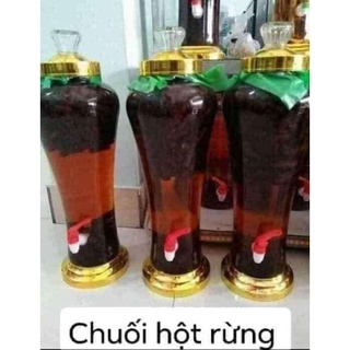 cây giống chuối hột rừng