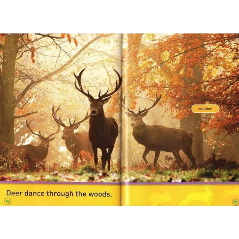 NATIONAL GEOGRAPHIC PRE READERS