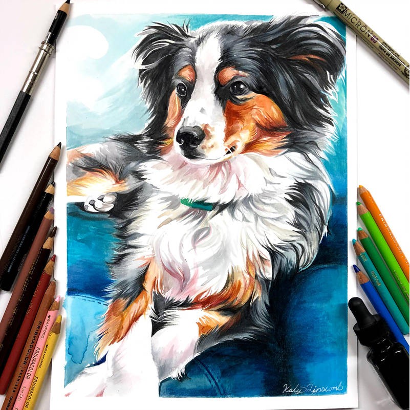 Bộ bút chì màu Prismacolor Premier Soft Core Pencils – 36 Màu