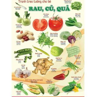 Tranh treo tường 14 chủ đề về thế giới xung quanh cho bé
