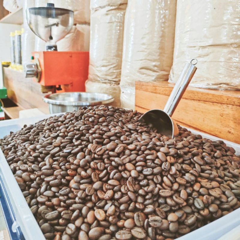 [Cà Phê Mộc] 1Kg Robusta-Catimor Rang Mộc Nguyên Chất 100%, Cà Phê Sạch, Cà Phê Nguyên Chất, Cà Phê Hạt | BigBuy360 - bigbuy360.vn