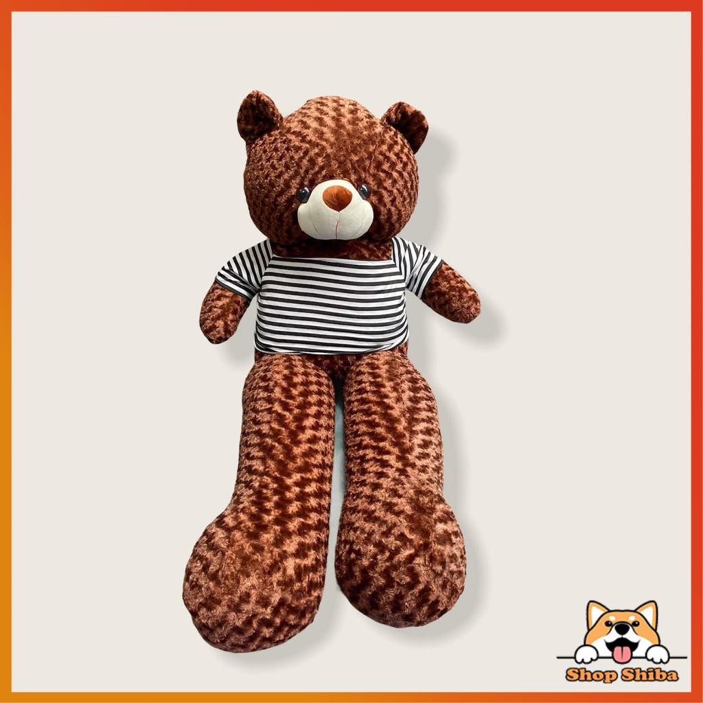 Gấu Teddy Siêu To Khổng Lồ 1M8 Ôm Phê Hơn Cả Người Yêu RIO STORE