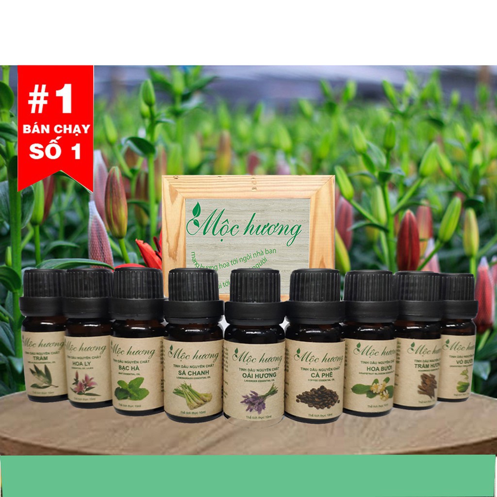 Combo 4 CHAI TINH DẦU  GỒM XÔNG HƠI SPA