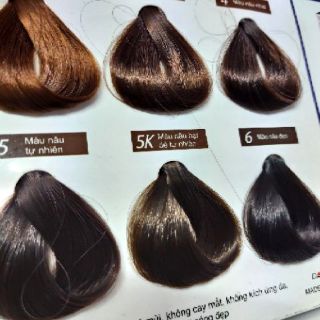 THUỐC NHUỘM TÓC BẠC SALON de PRO