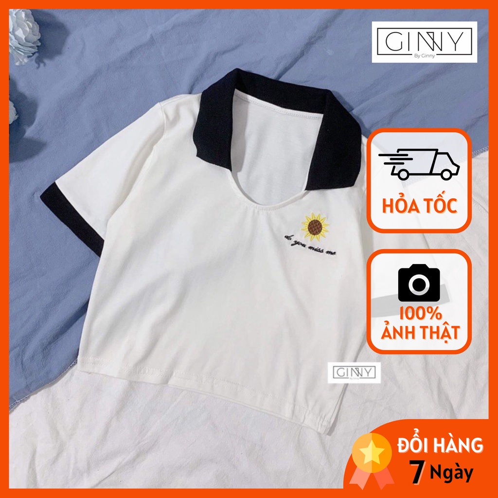 Áo Thun Polo Hoa Cúc Trắng TH018 | GinHouse Shop