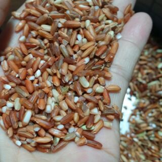Gạo lức đỏ Điện Biên combo 5kg