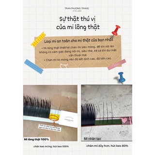 Mi Lông Thật TPTLASH, mi em bé, mi siêu thực