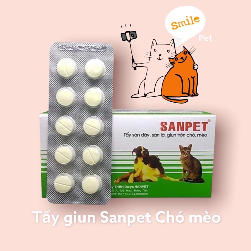 VIÊN SAN P E T chó mèo