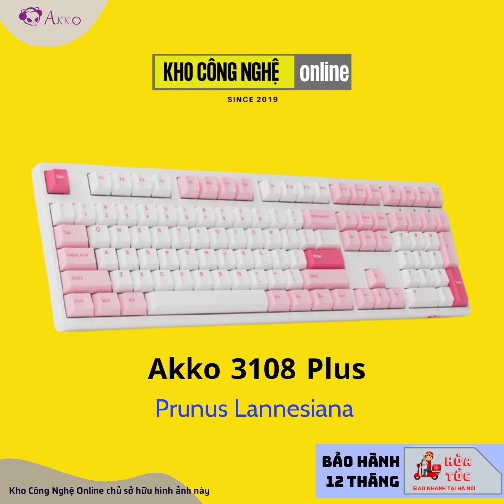 Bàn Phím Cơ Akko 3108 Plus Black &amp; Cyan | Prunus Lannesiana (Foam tiêu âm, Akko CS Switch)