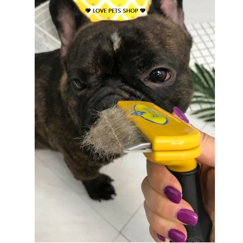 LƯỢC CHẢI LÔNG CHO CHÓ MÈO CHUYÊN DỤNG -  LOVE PETS SHOP