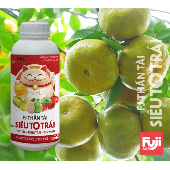 Phân bón hữu cơ Siêu To Trái FJ Thần Tài Japan 1 lít