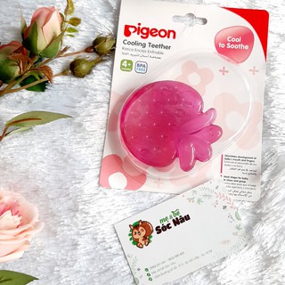 NGẬM NƯỚU PIGEON CHO BÉ TỪ 4M+