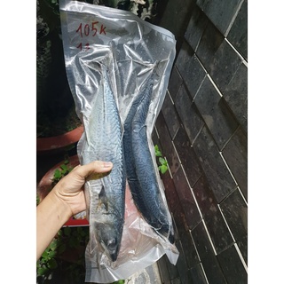 CÁ SAPA NHẬT / SA PA / NƯỚNG GIẤY BẠC
