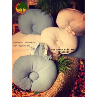 Gối đinh lăng cho bé dưới 6 tháng tuổi