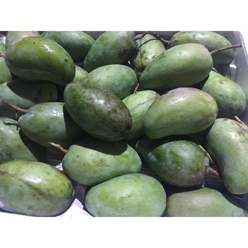 Xoài Thái Xanh Giòn Rụm