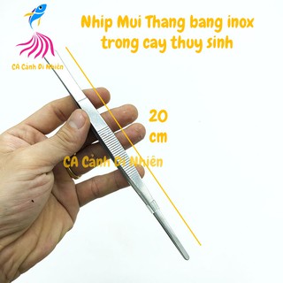 Nhíp mũi THẲNG trồng cây thủy sinh bằng inox SIZE 20 cm