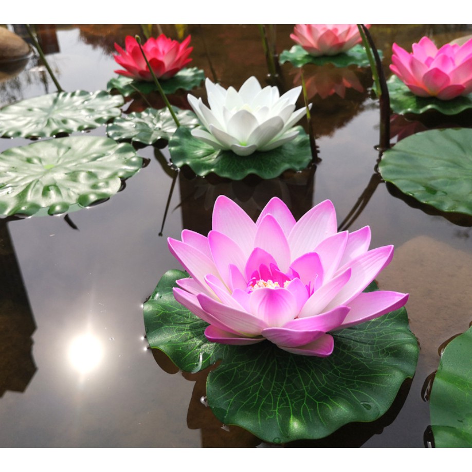 Hoa sen thả hồ, trang trí tiểu cảnh sân vườn 10cm 18cm thờ cúng