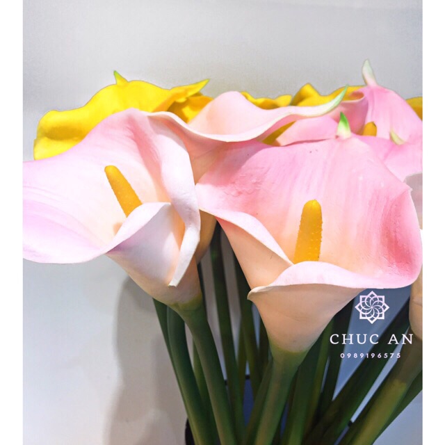 Cành hoa rum cao su cao cấp size lơn 60cm nhiều màu - HN