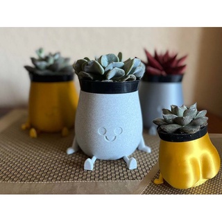Chậu cây trang trí ngộ nghĩnh mông THICCC