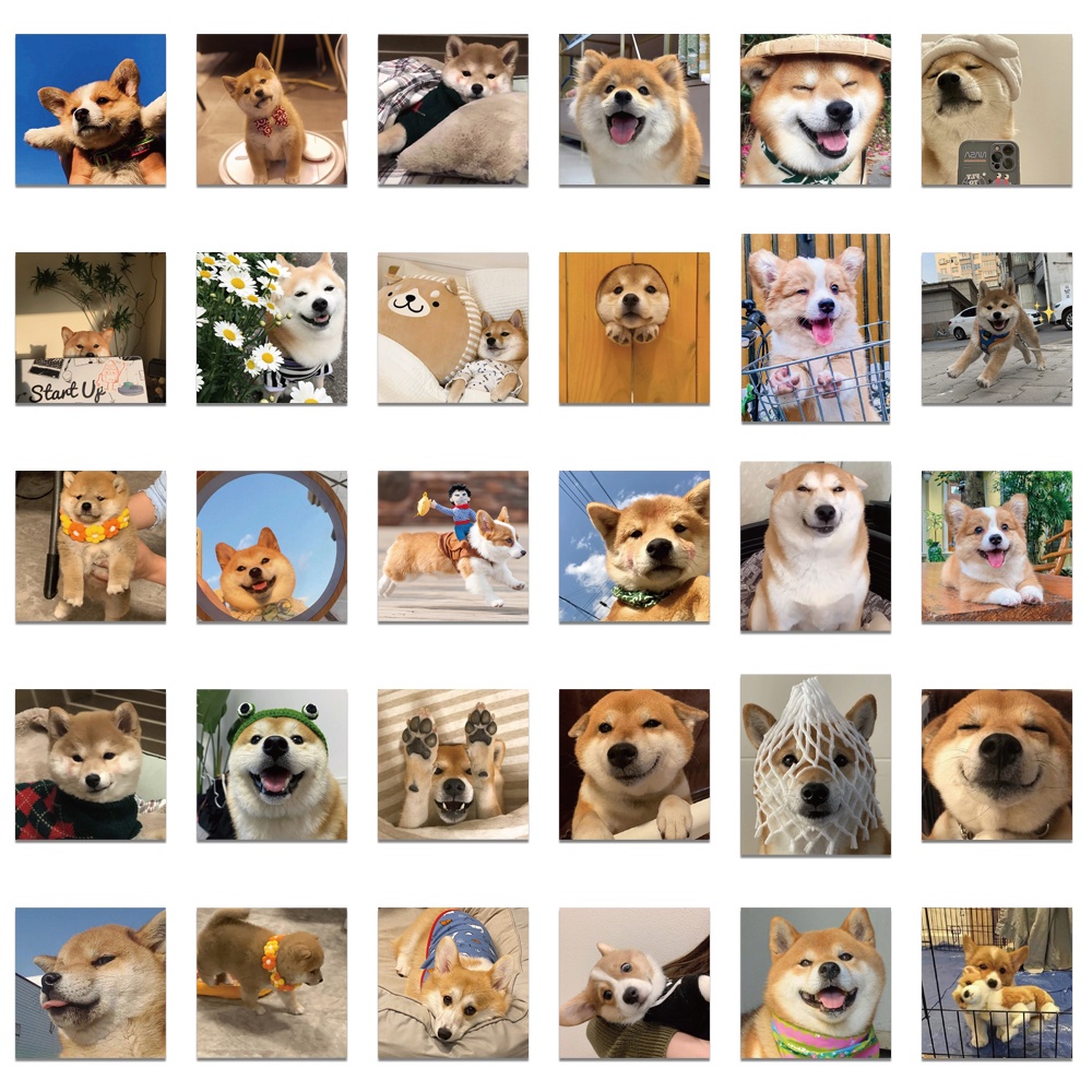 Nhãn Dán Trang Trí Hình Chú Chó Shiba Inu Akita Dễ Thương