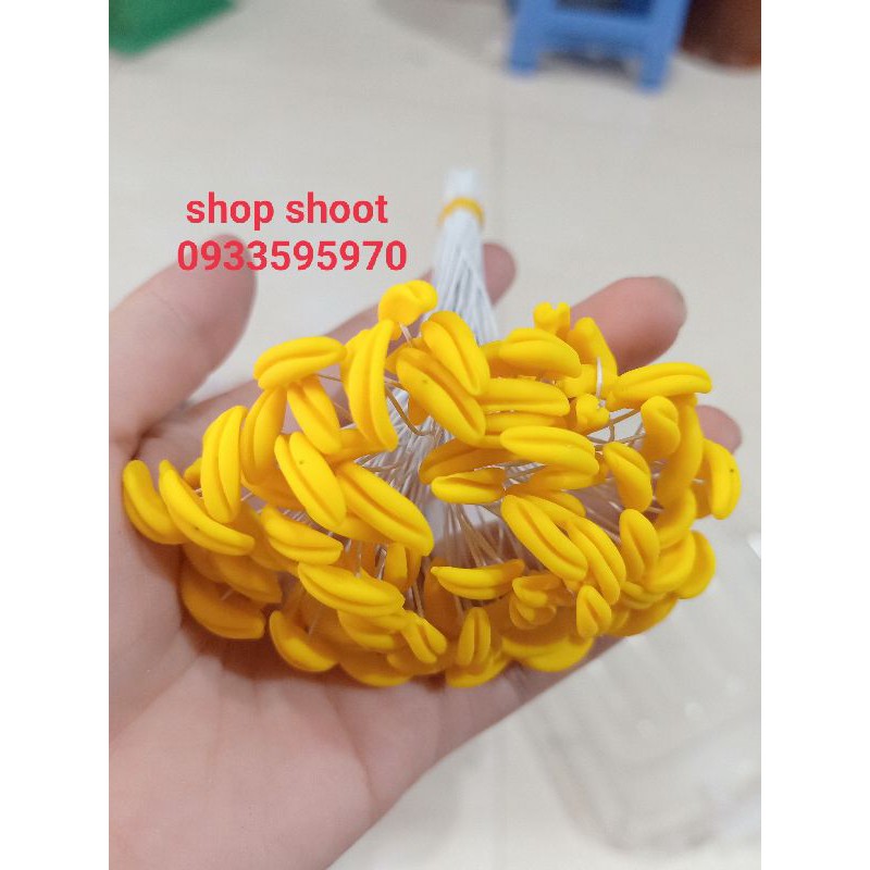 NHỤY LY NGANG- BÓ 100 CÂY