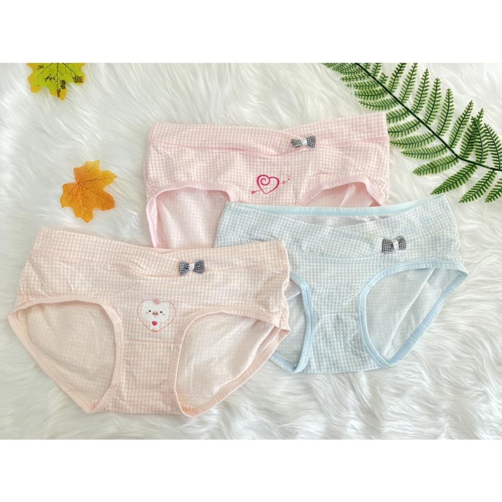 Quần lót bầu và sau sinh HL1506 cạp chéo in hình cute dễ thương FREESIZE 45-60KG