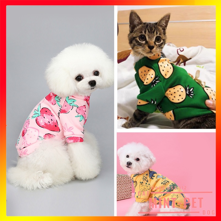 Áo cho Chó Mèo Thú Cưng - Áo Cho Chó Mèo Mùa Đông #MINTPET