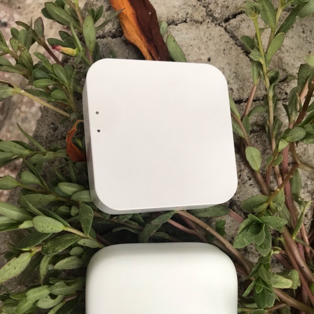 Hub zigbee - wifi Tuya / Smart life