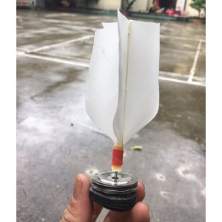 CẦU ĐÁ THỂ DỤC (10 QUẢ)