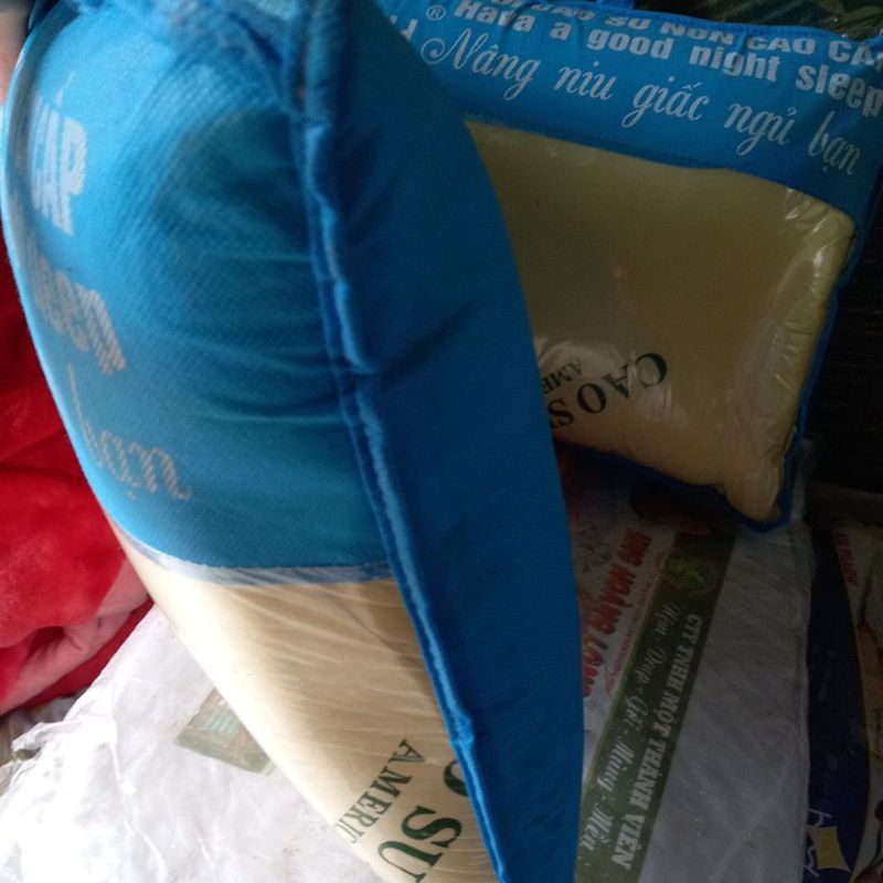 Gối cao su non 50x70cm
