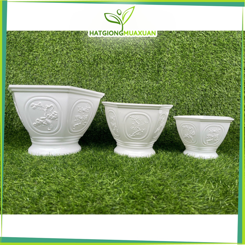 Chậu nhựa Tùng Cúc dk 18cm, 23cm, 28cm siêu dày dặn