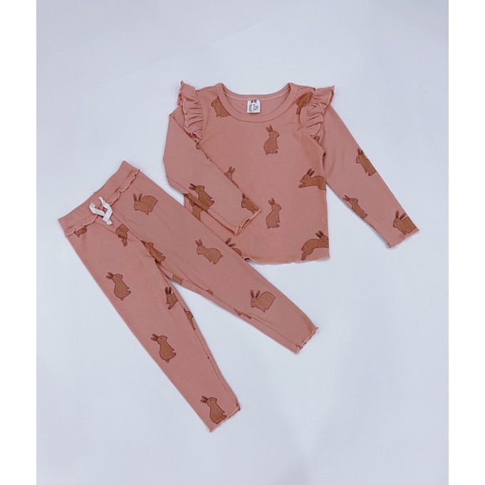 SET BỘ DÀI TAY CÁNH TIÊN THUN TĂM HÀNG CAO CẤP CHO BÉ GÁI