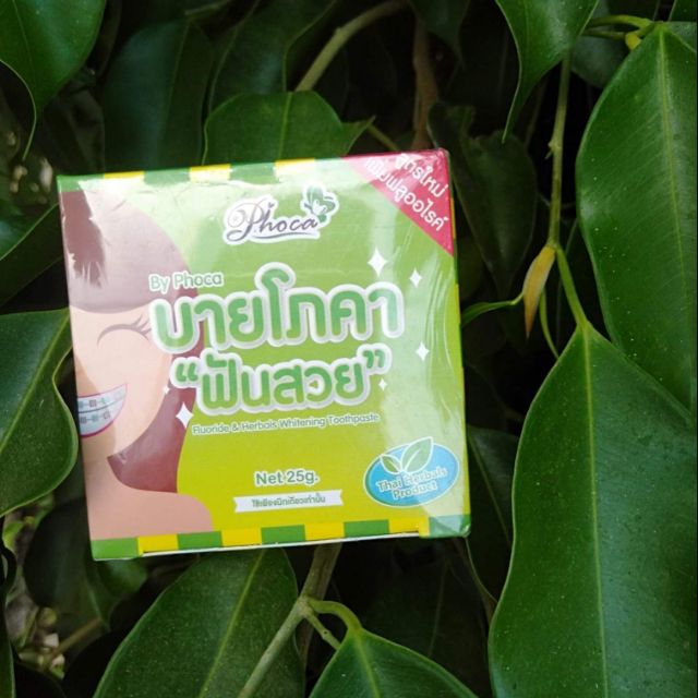 Kem đánh răng Phoca