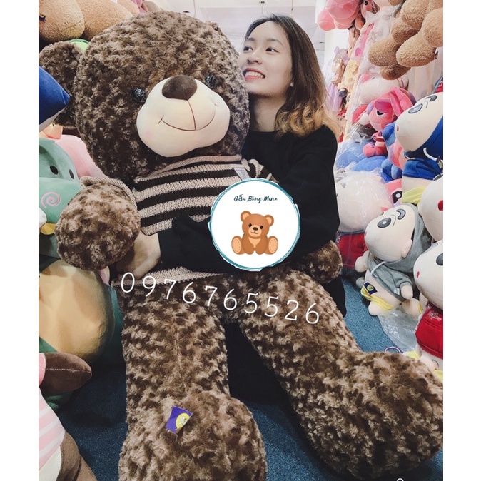 Gấu Bông Teddy Mặc Áo Len Kẻ Cao Cấp - Gấu Bông Mina