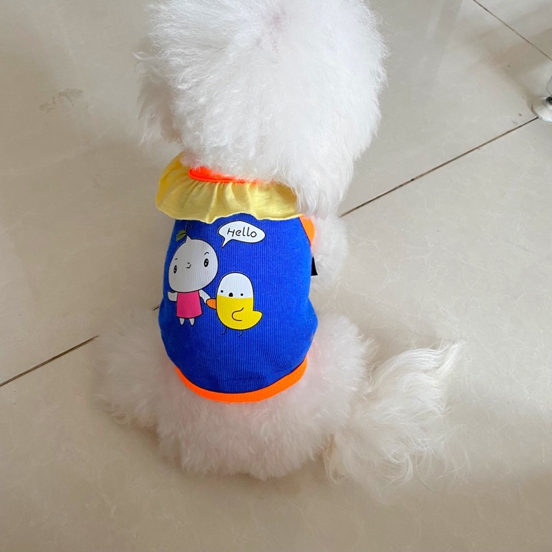 Quần áo chó mèo áo dây cổ bèo giá rẻ