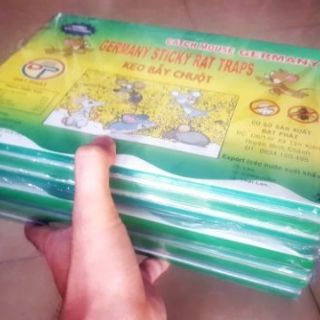 Keo  dính chuột loại tốt
