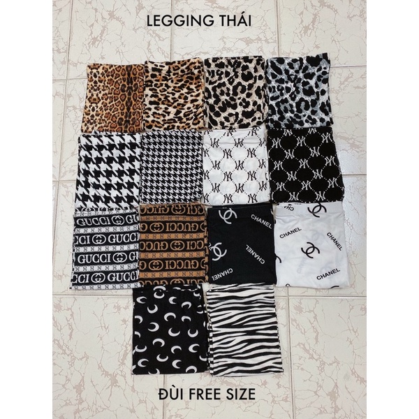 Quần đùi legging thái